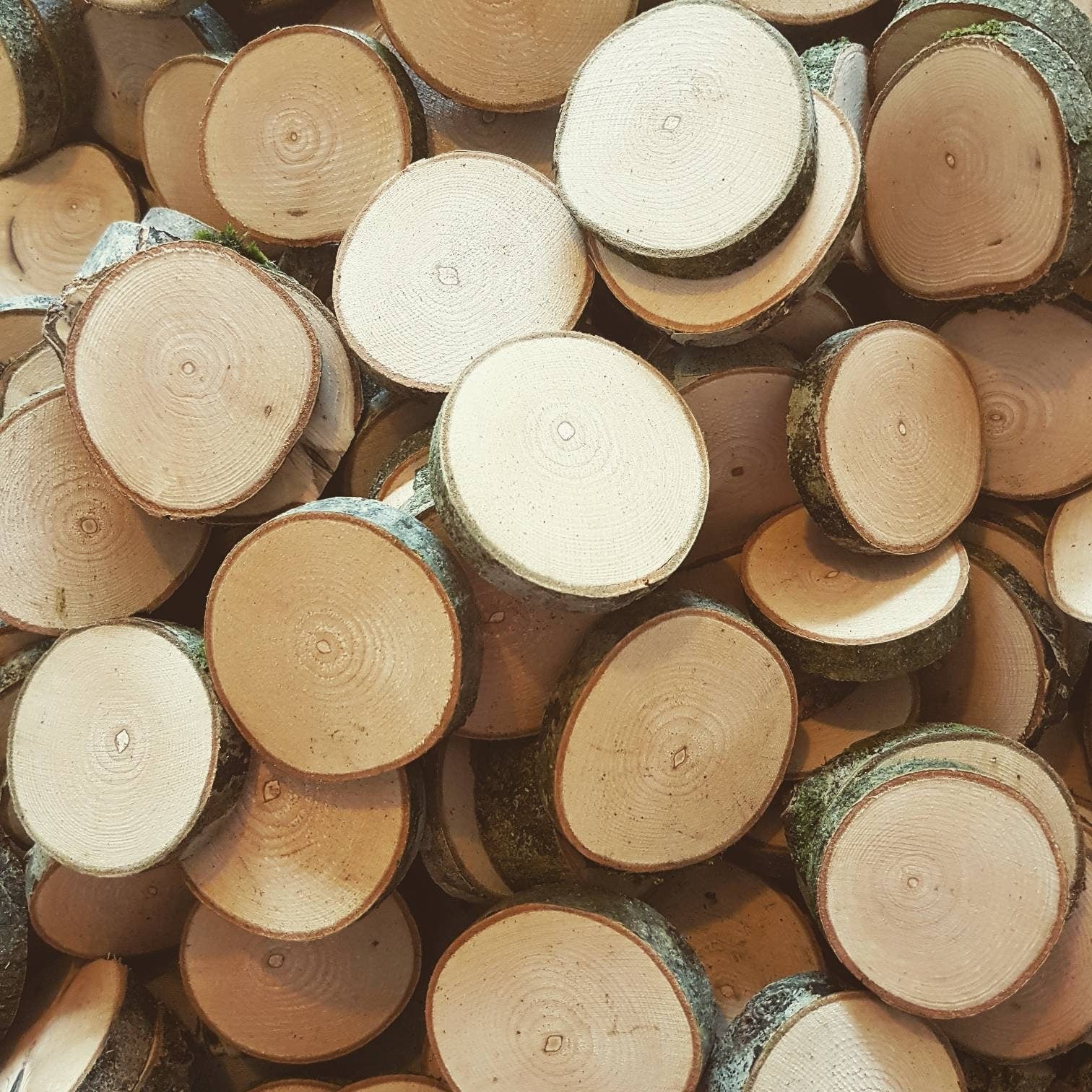 Natural Log Slices