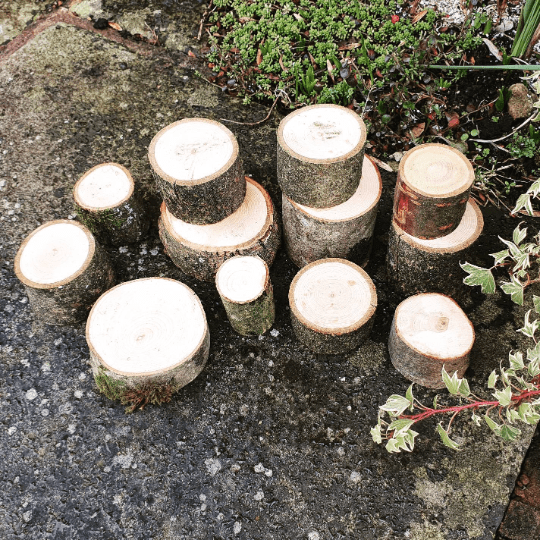 Natural Wood Building Blocks & Stands – Set of 12