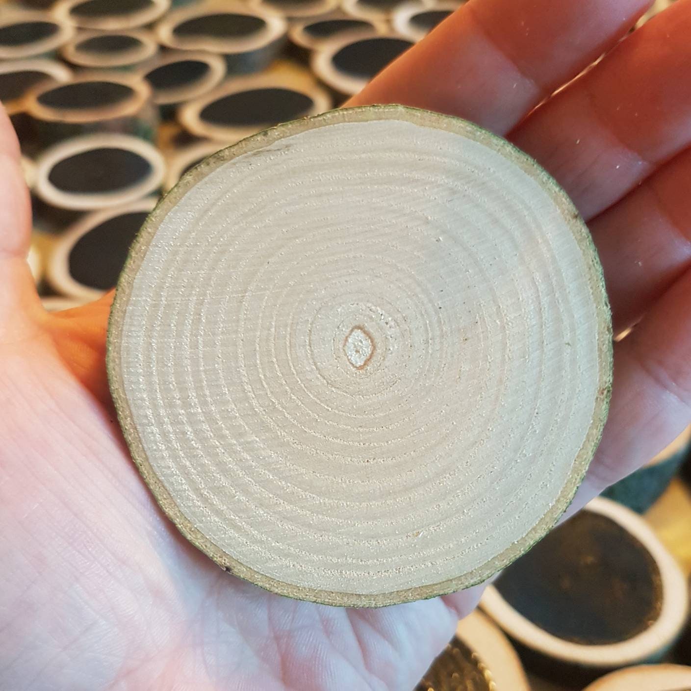 Small Natural Log Slices
