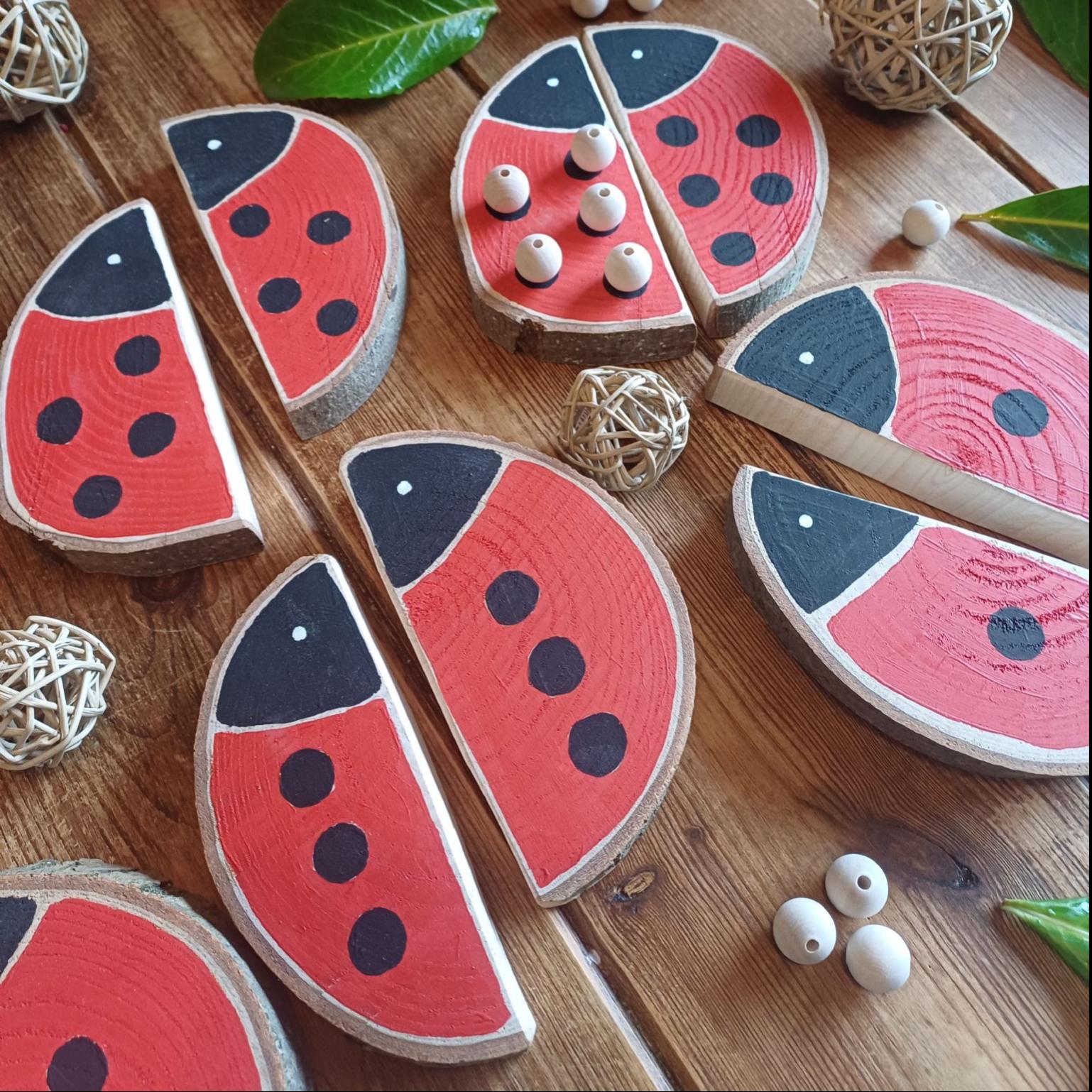Ladybird Matching & Counting Log Slices