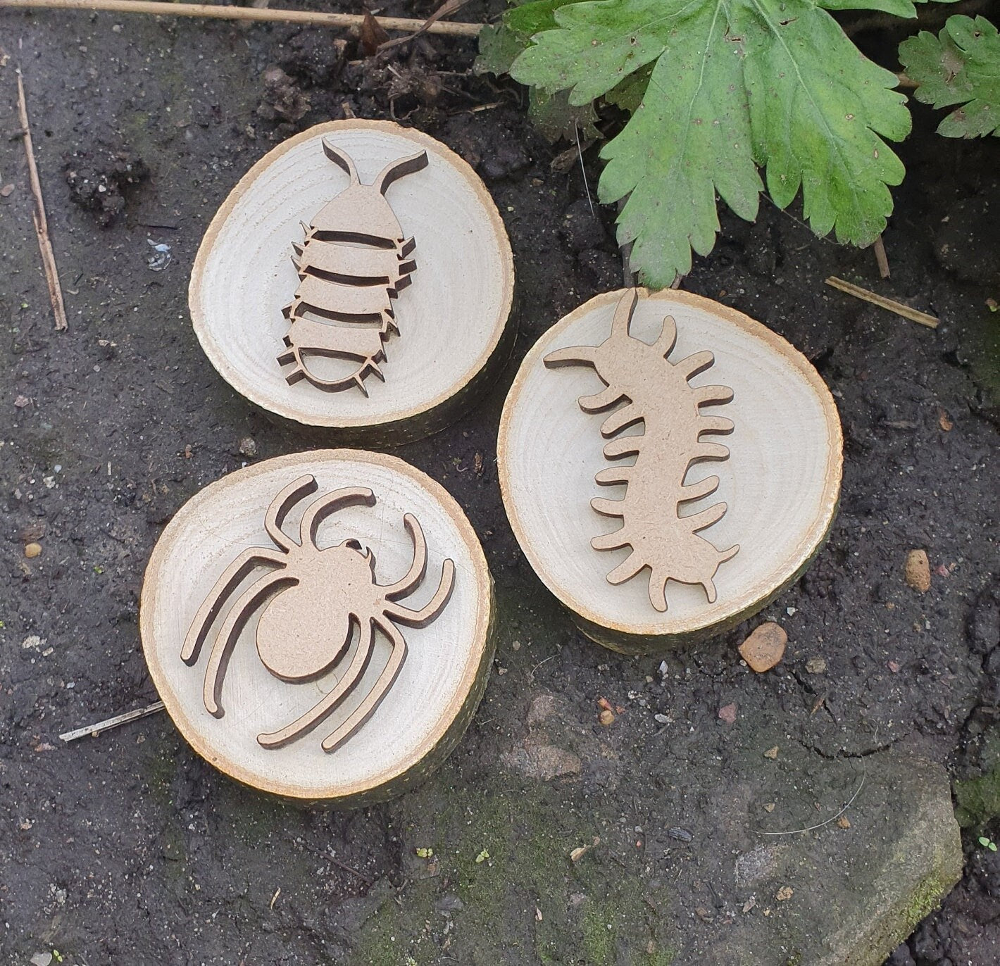 Insect & Minibeast Playdough Stamps - Set of 6