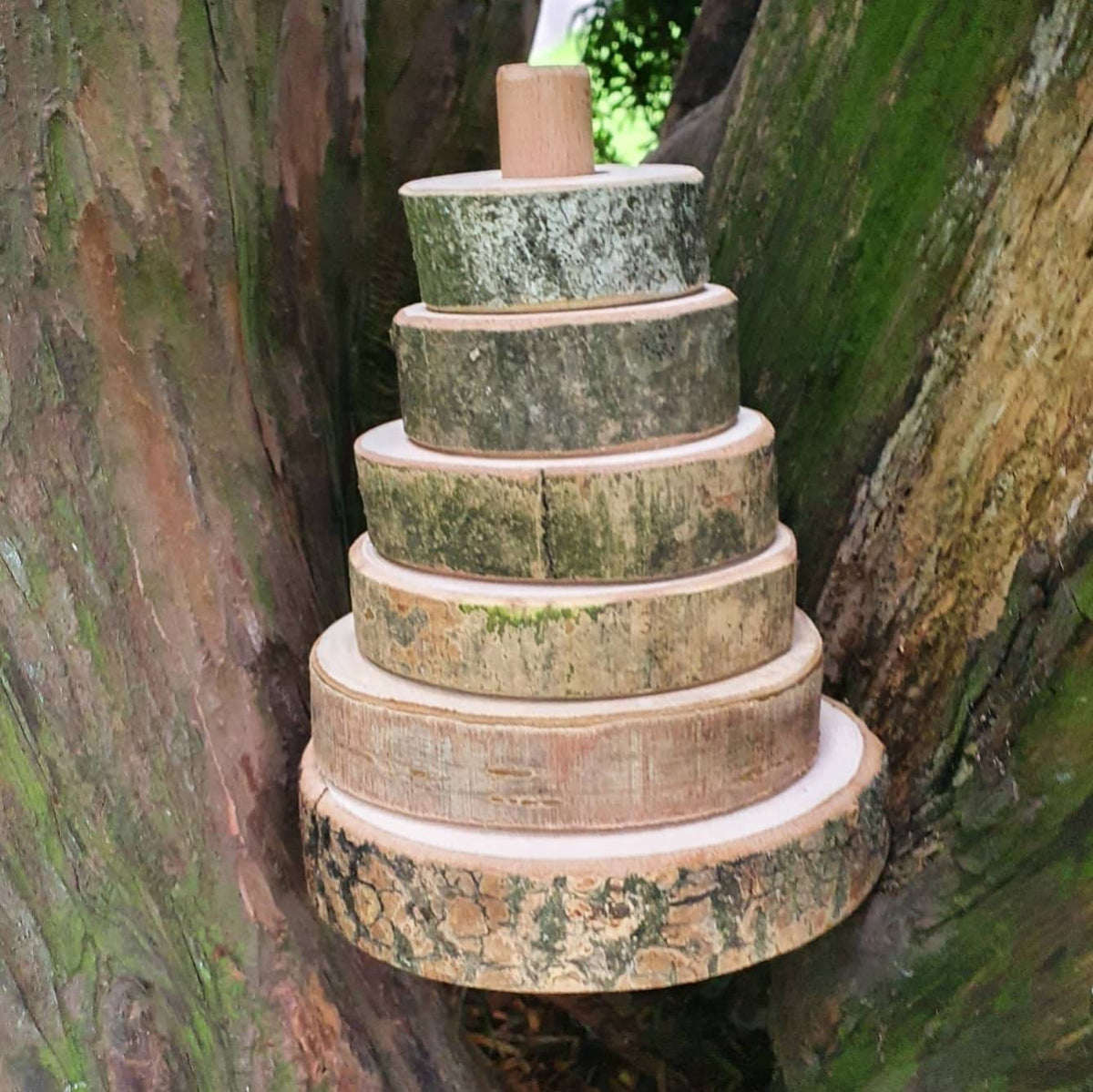 Natural Log Slice Stacker Toy