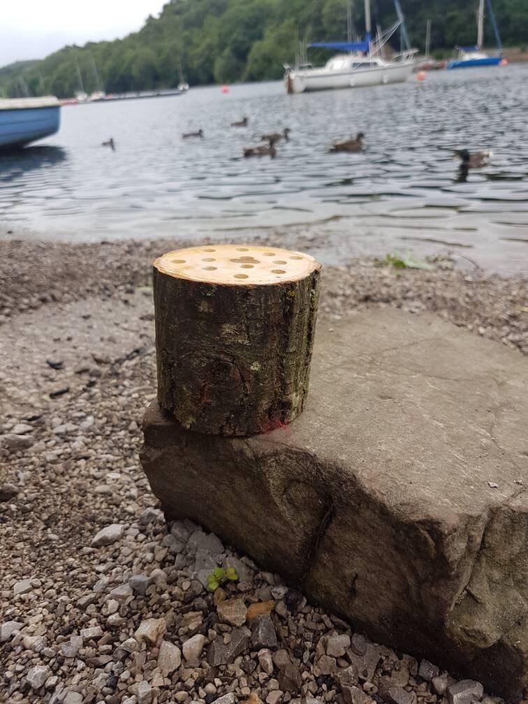 Log Slice Scissor Holder