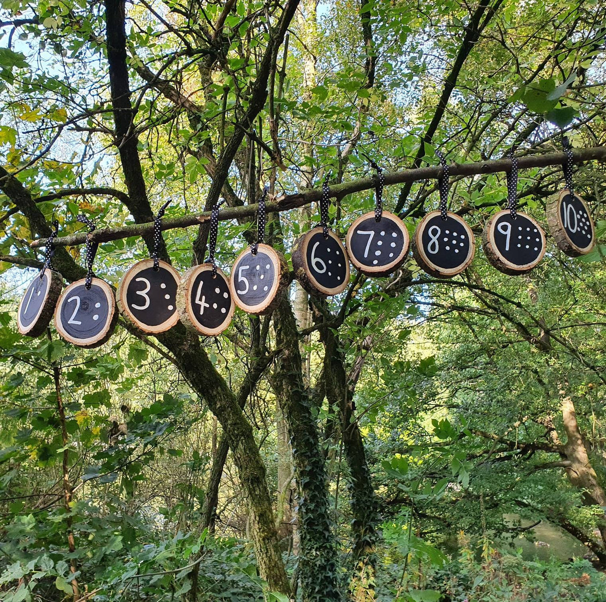 Chalkboard Number Line Log Slices - 1–10 – Mrs K's Tree House