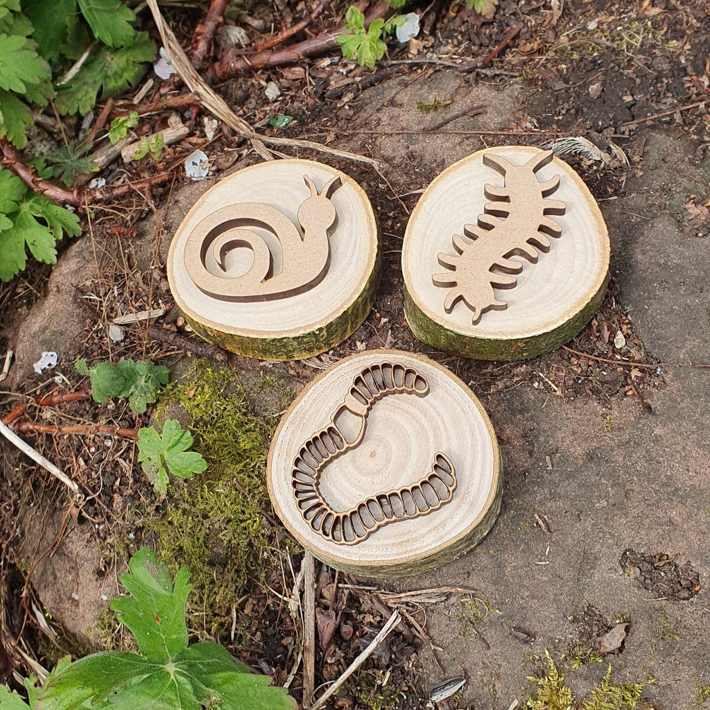 Insect & Minibeast Playdough Stamps - Set of 6