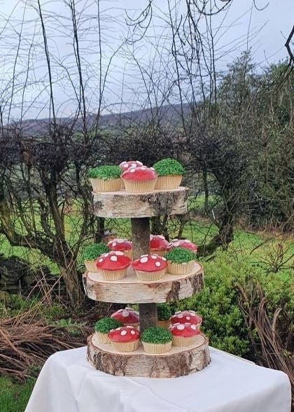 Rustic Log Slice Cake Stand - 2 or 3 Tier