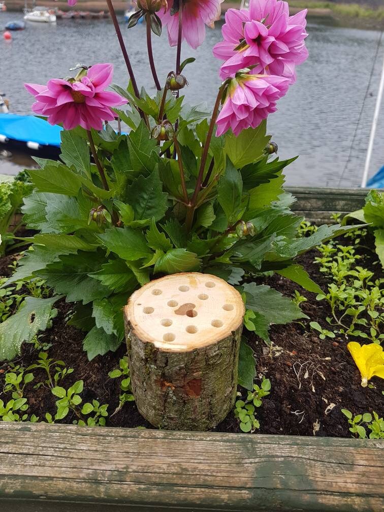 Log Slice Pencil Pot
