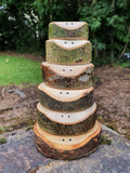 Natural Loglet Stacker