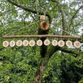 Hanging Number Line