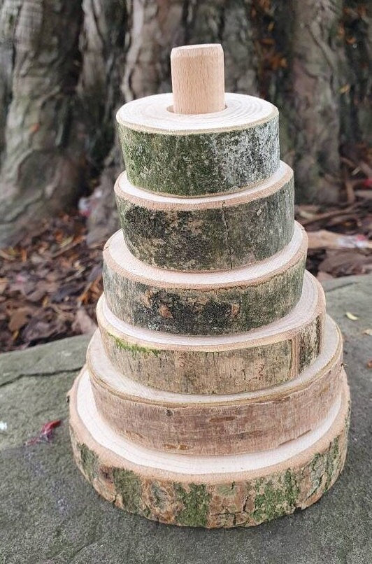 Natural Log Slice Stacker Toy