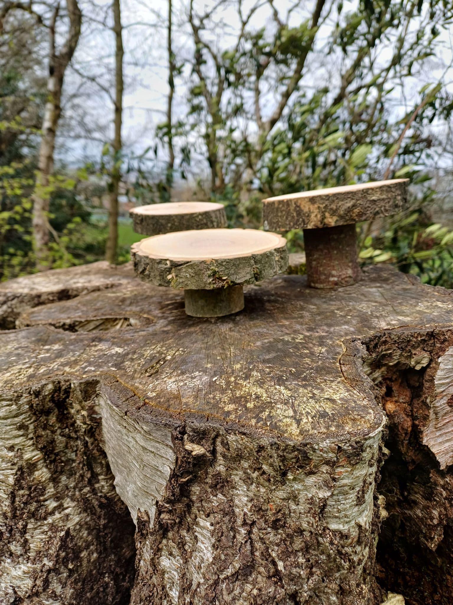 Small World Platforms