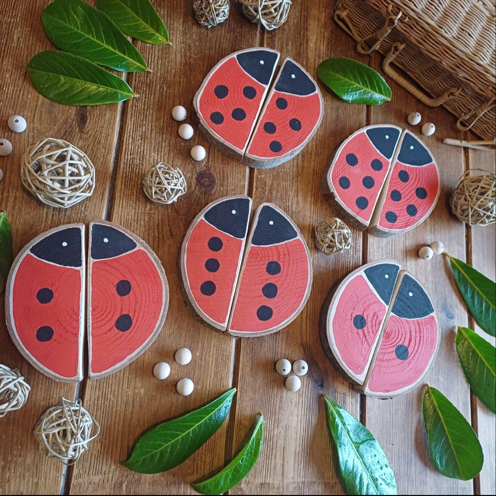Ladybird Matching & Counting Log Slices
