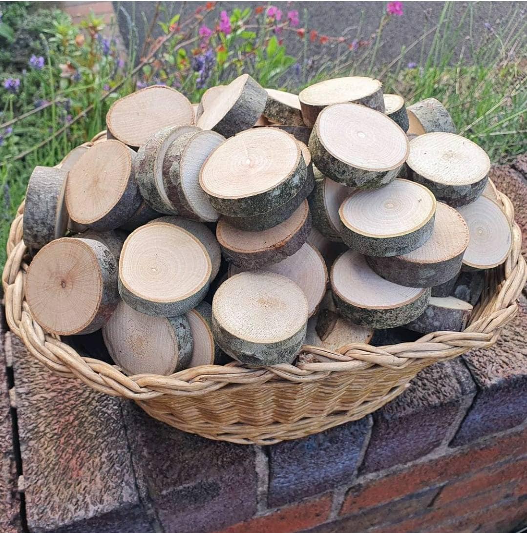 Mini Log Slices