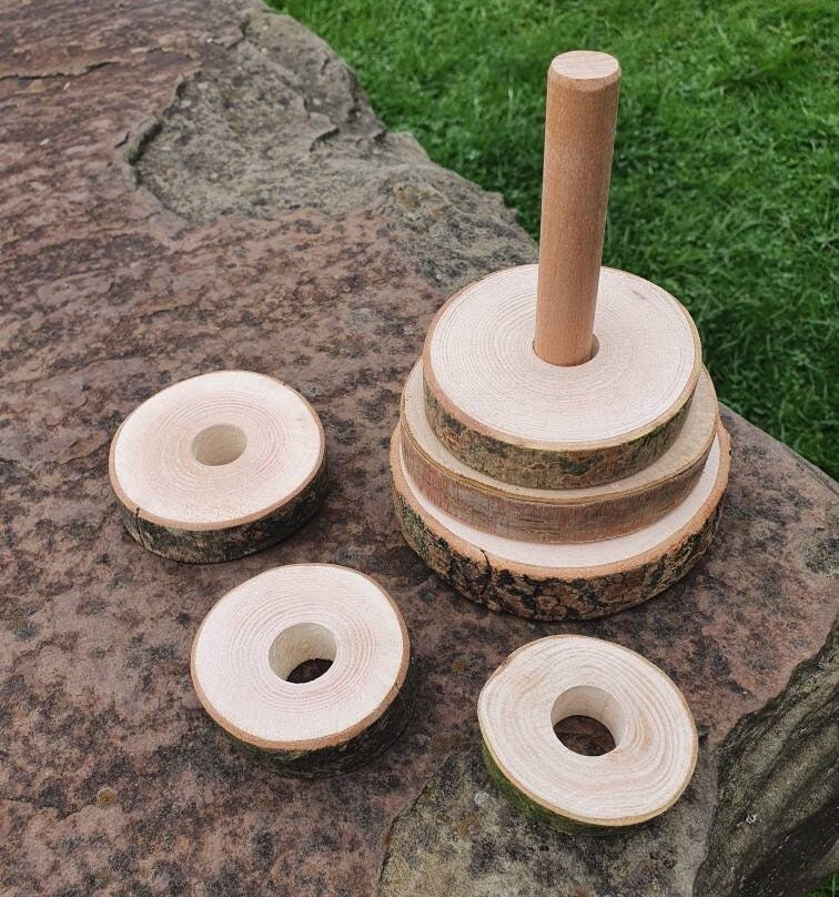 Natural Log Slice Stacker Toy