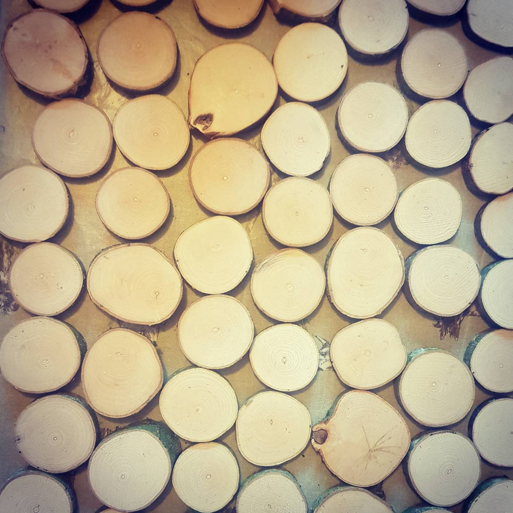 Mini Log Slices