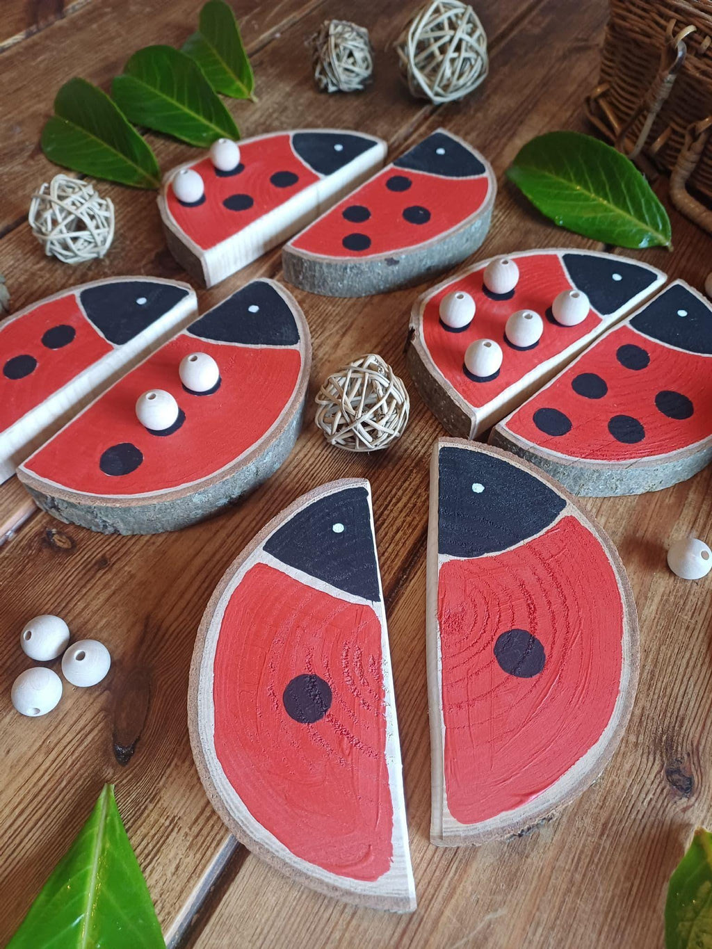 Ladybird Matching & Counting Log Slices