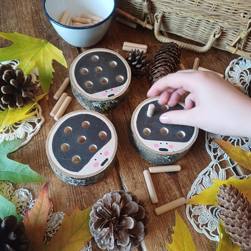 Hedgehog Peg Boards – Set of 3