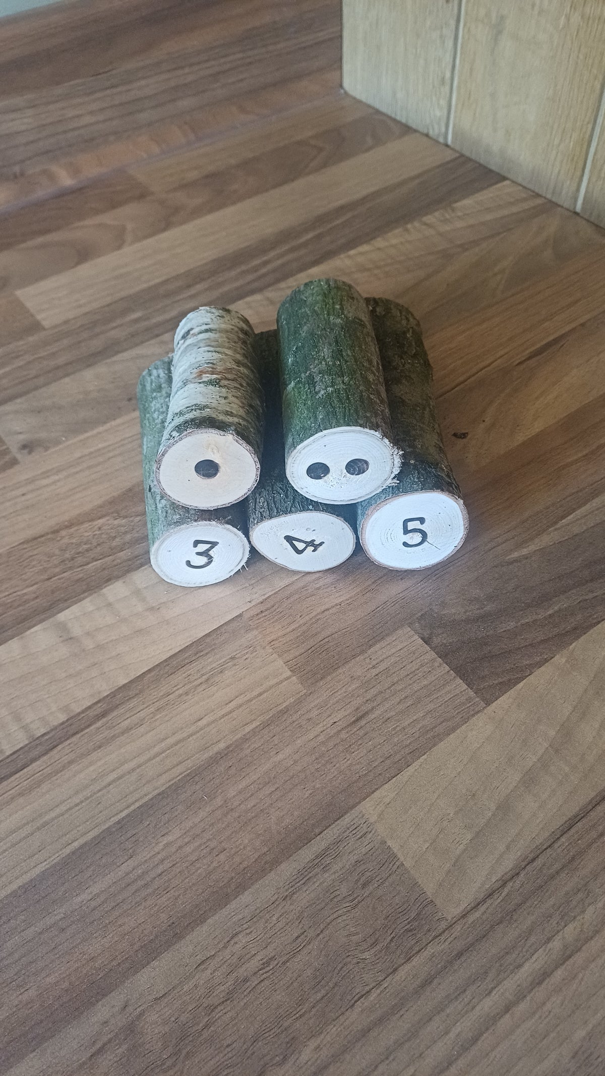 1–5 Ordering & Subitising Logs