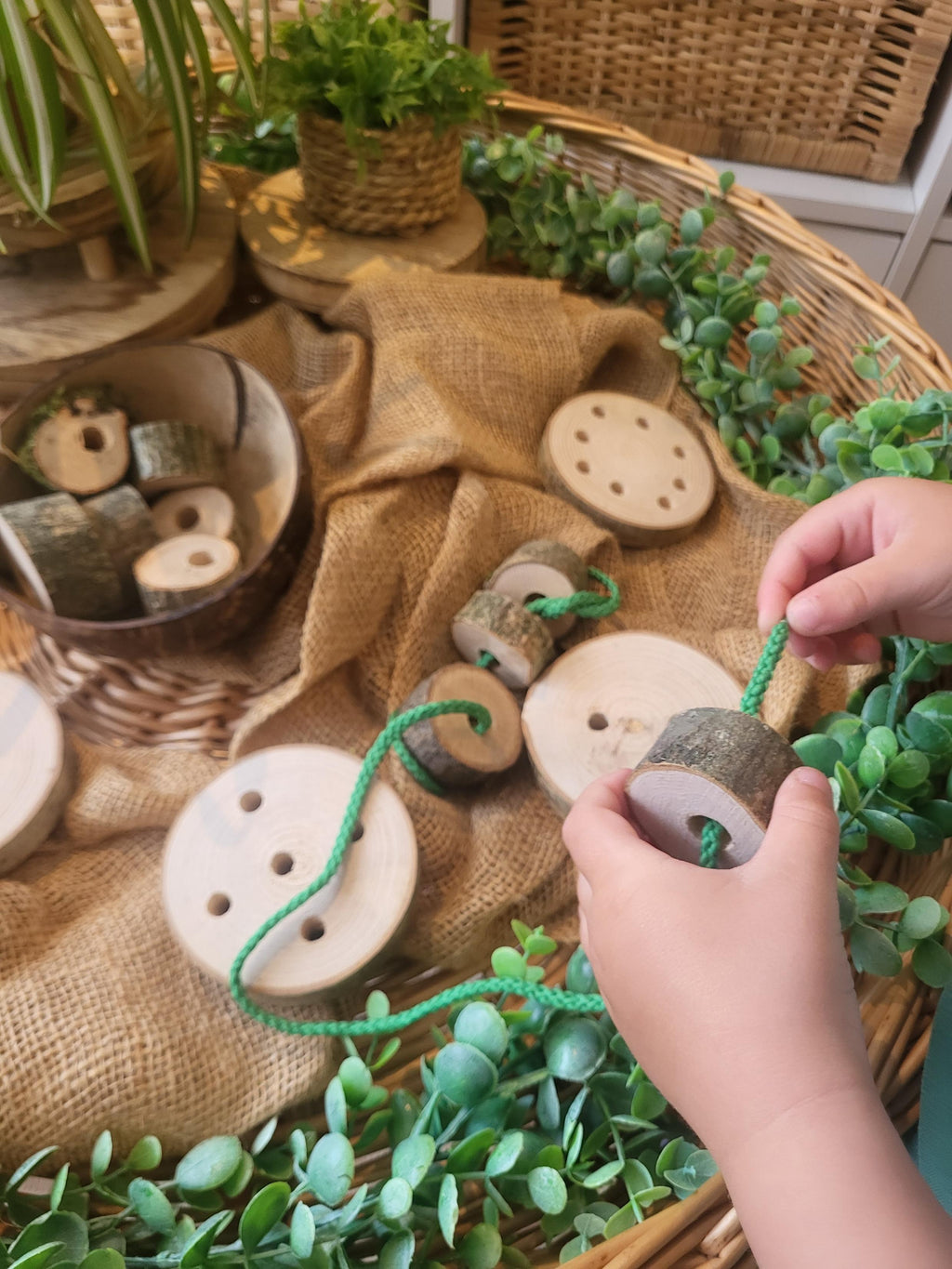Natural Log Slice Threading Set 2