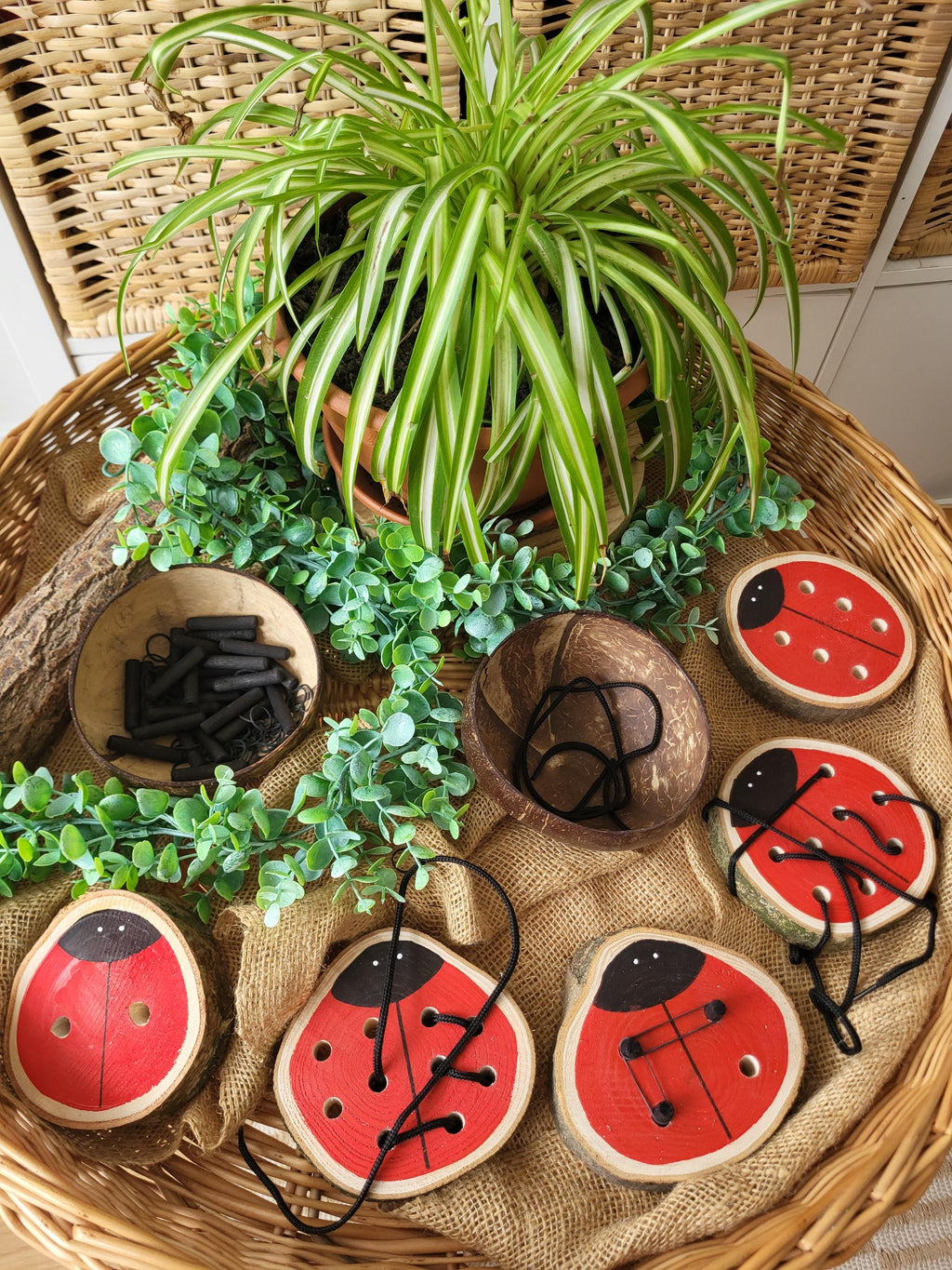 Ladybird Doubles Threading & Fine Motor Set - Set of 5