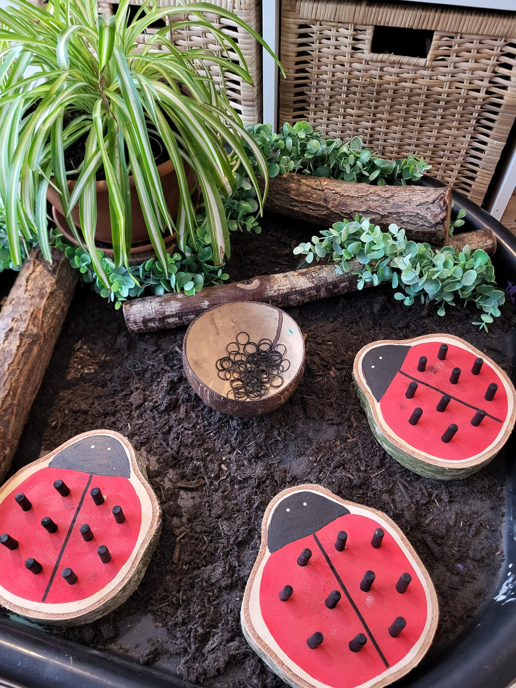 Ladybird Peg Boards - Set of 3