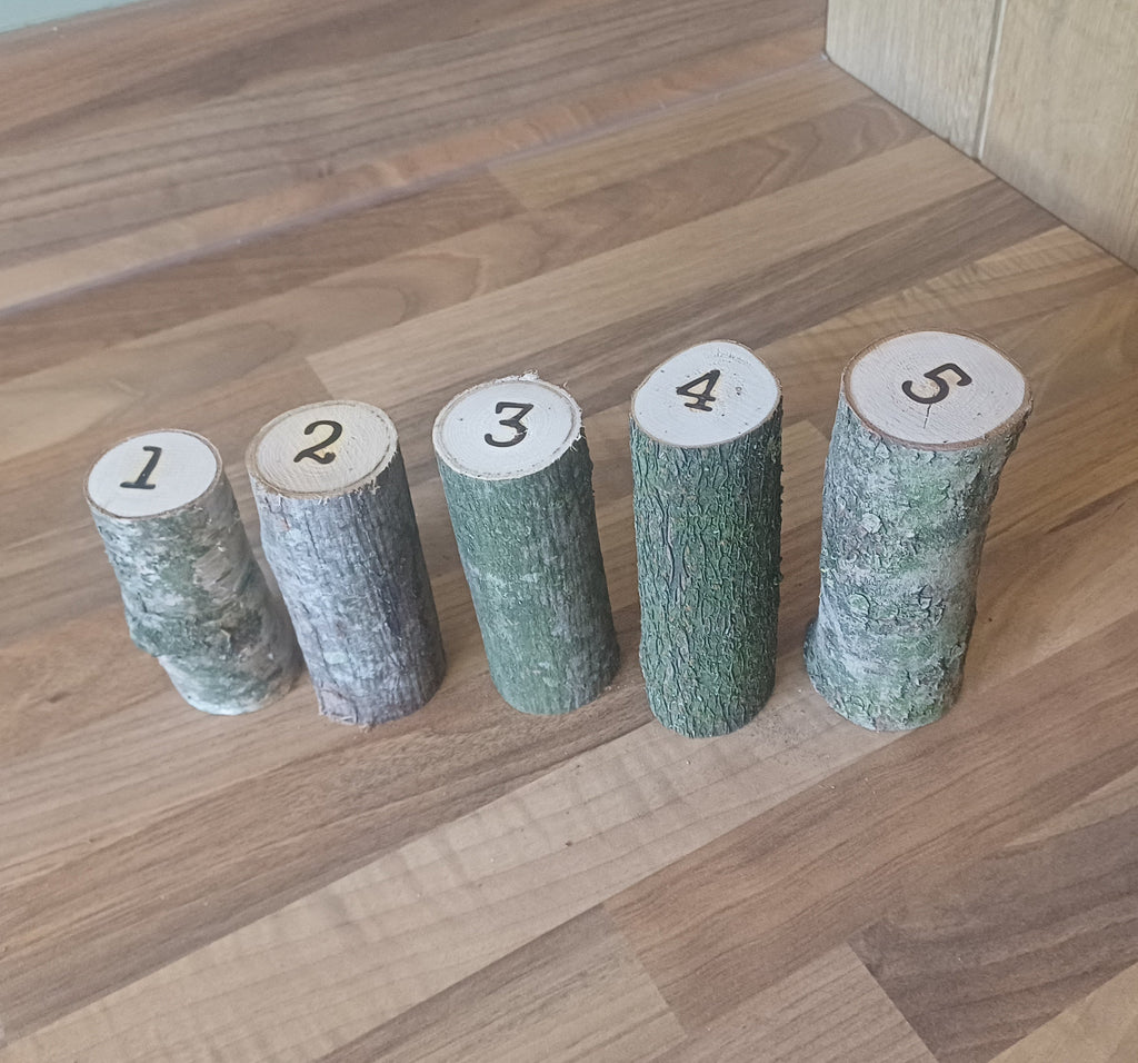 1–5 Ordering & Subitising Logs