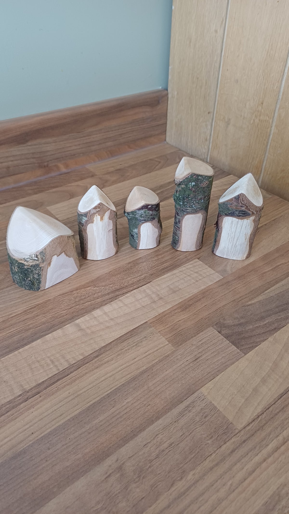 Natural Log House Shapes
