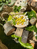 Natural Log Slice Threading Set 1
