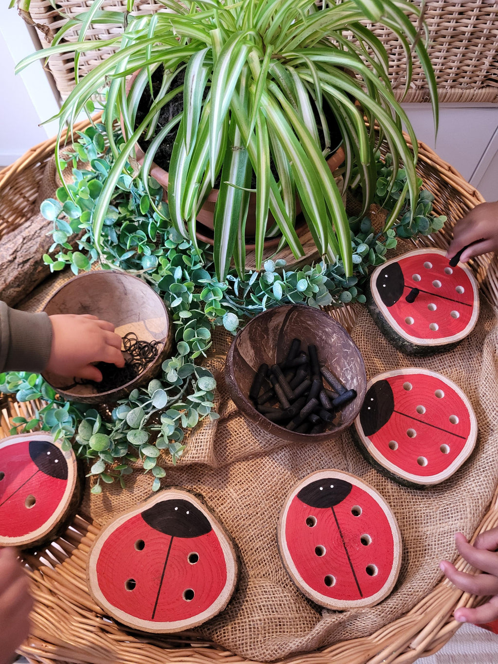 Ladybird Doubles Threading & Fine Motor Set - Set of 5
