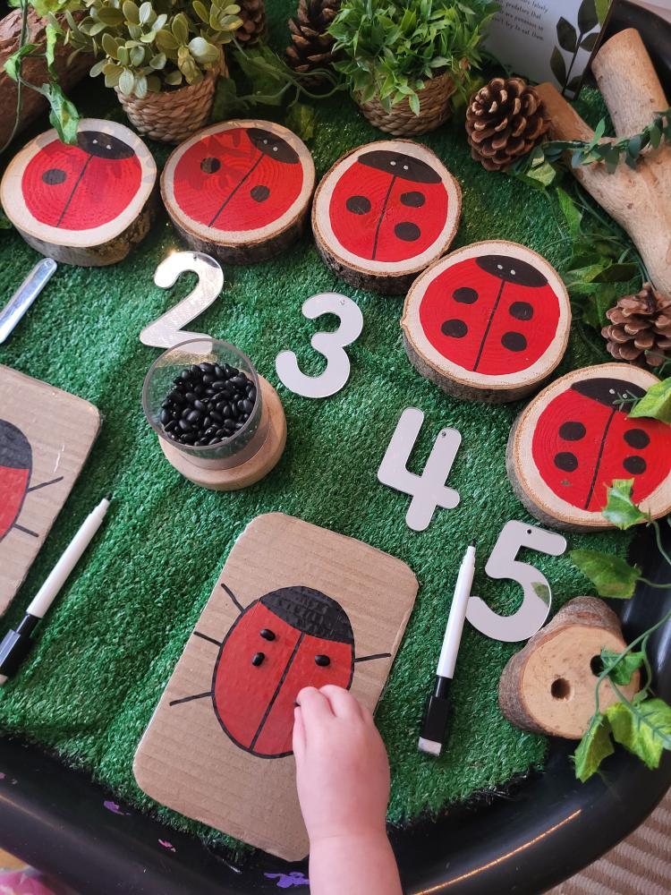 Ladybird Log Slices