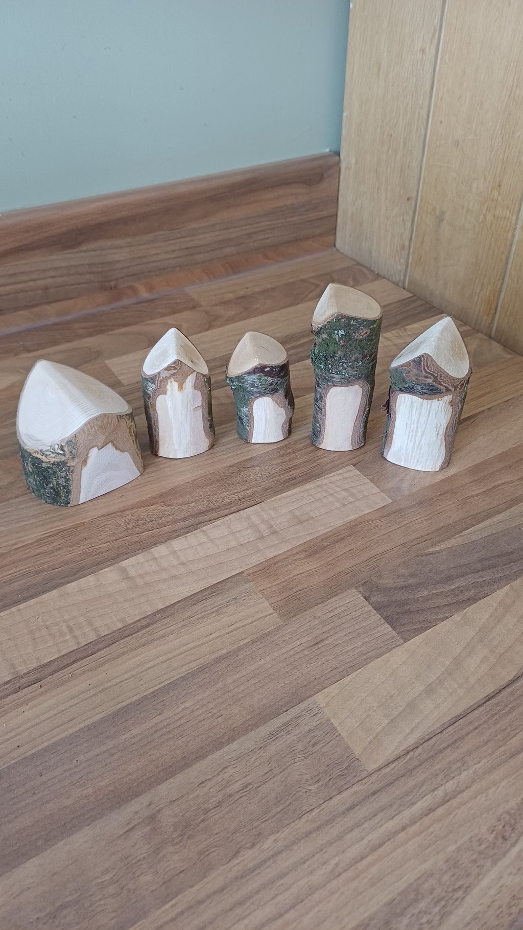 Natural Log House Shapes