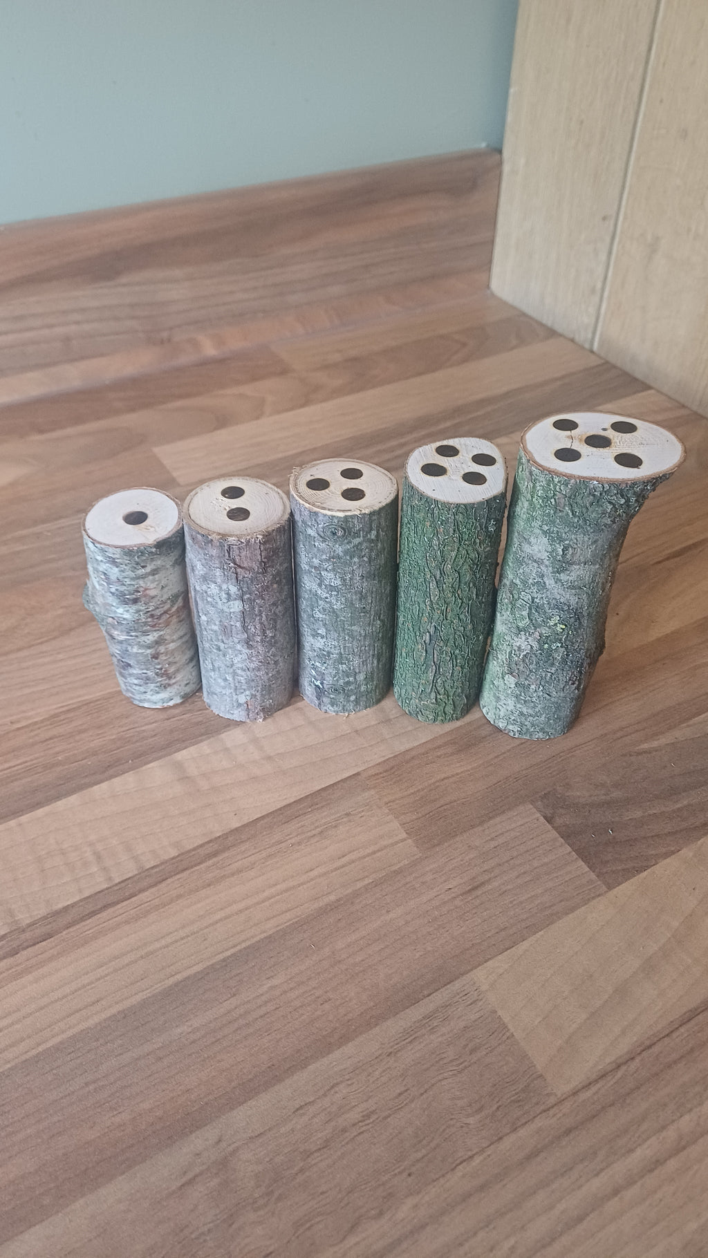 1–5 Ordering & Subitising Logs