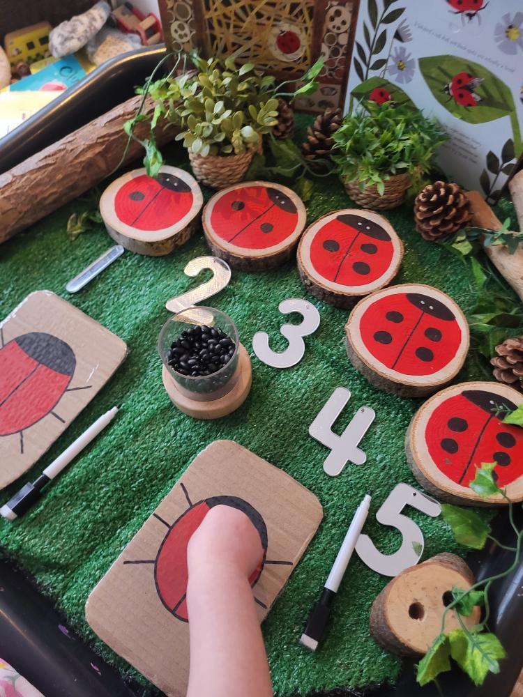 Ladybird Log Slices