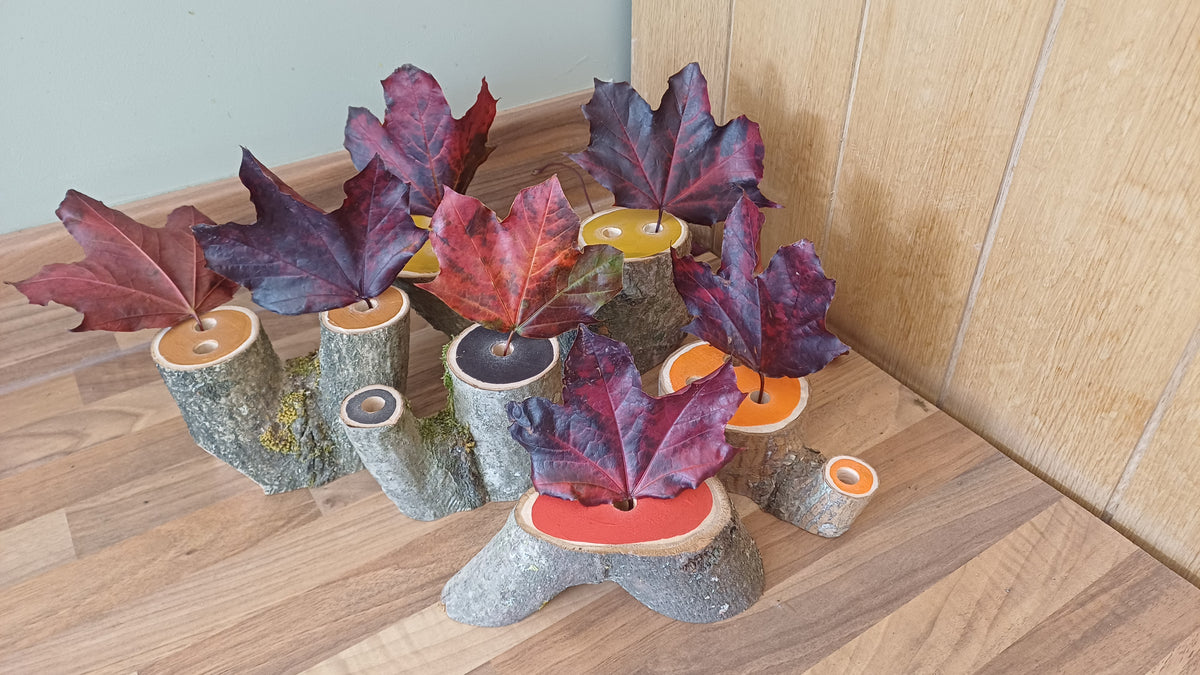 Autumn Colours Small World Trees