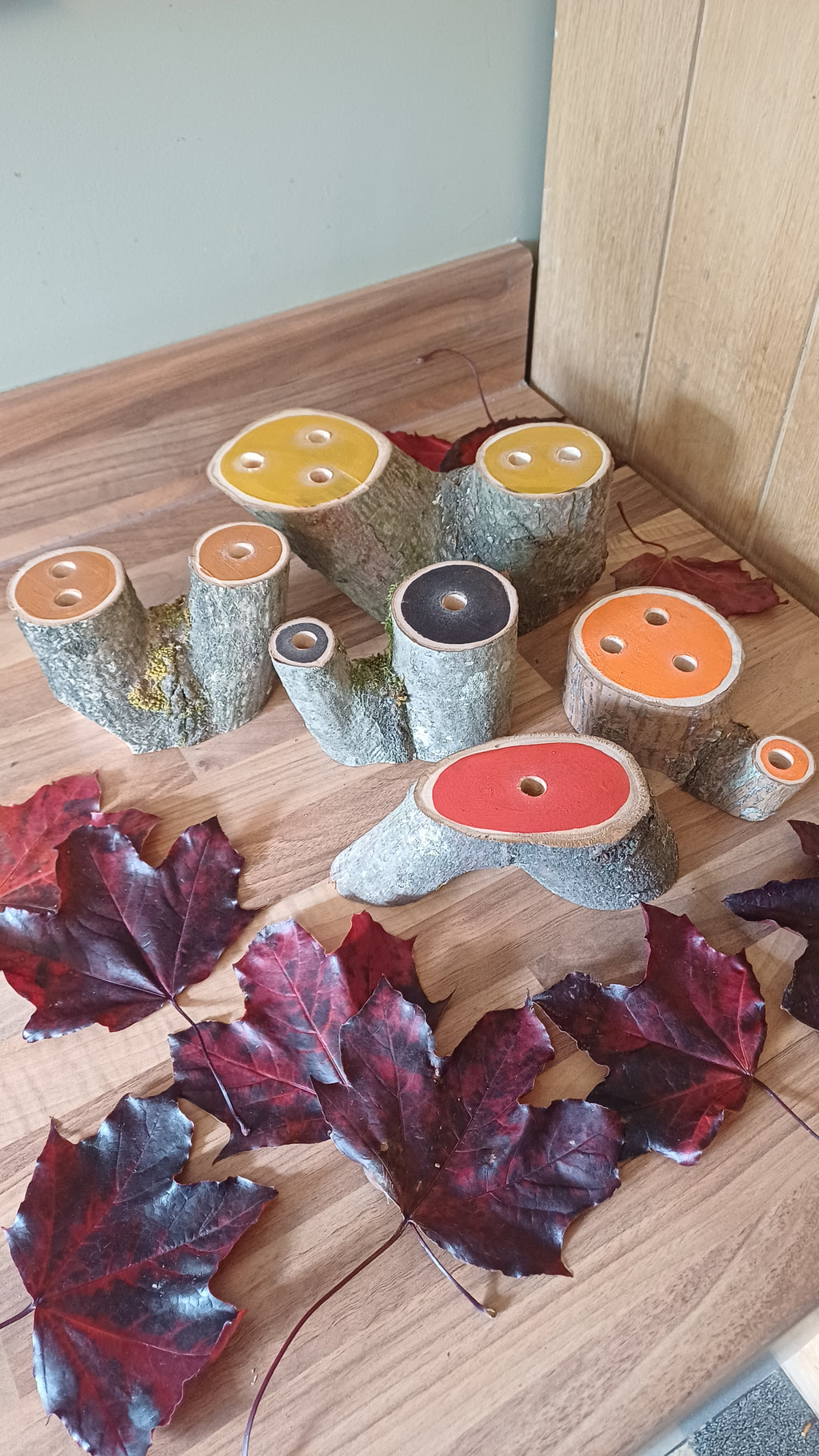 Autumn Colours Small World Trees