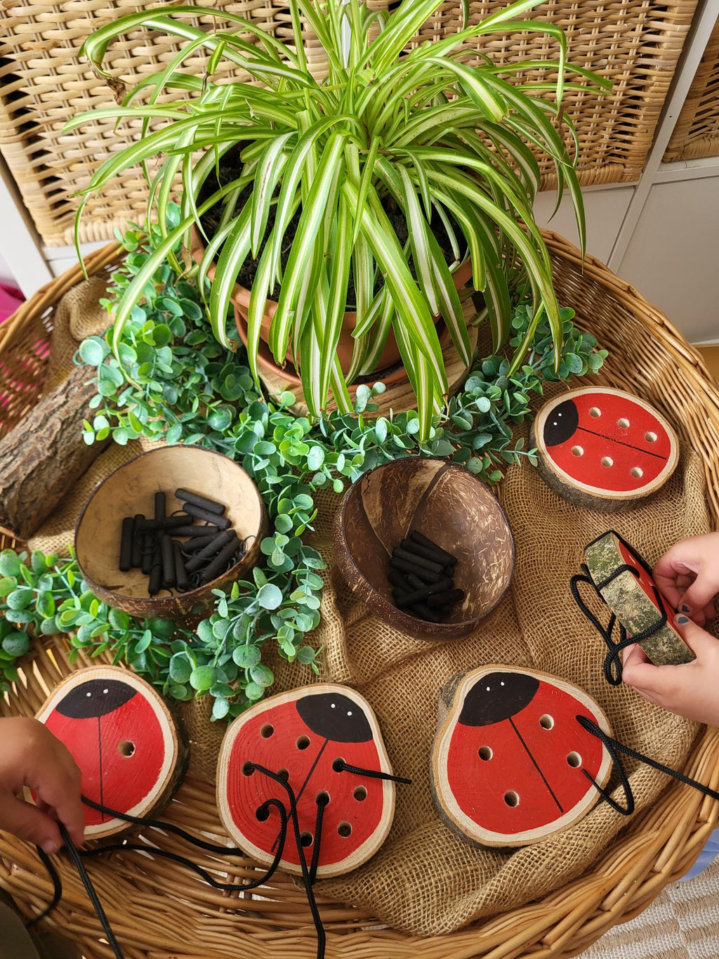 Ladybird Doubles Threading & Fine Motor Set - Set of 5