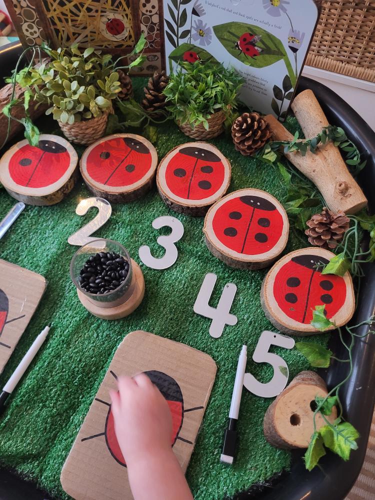 Ladybird Log Slices