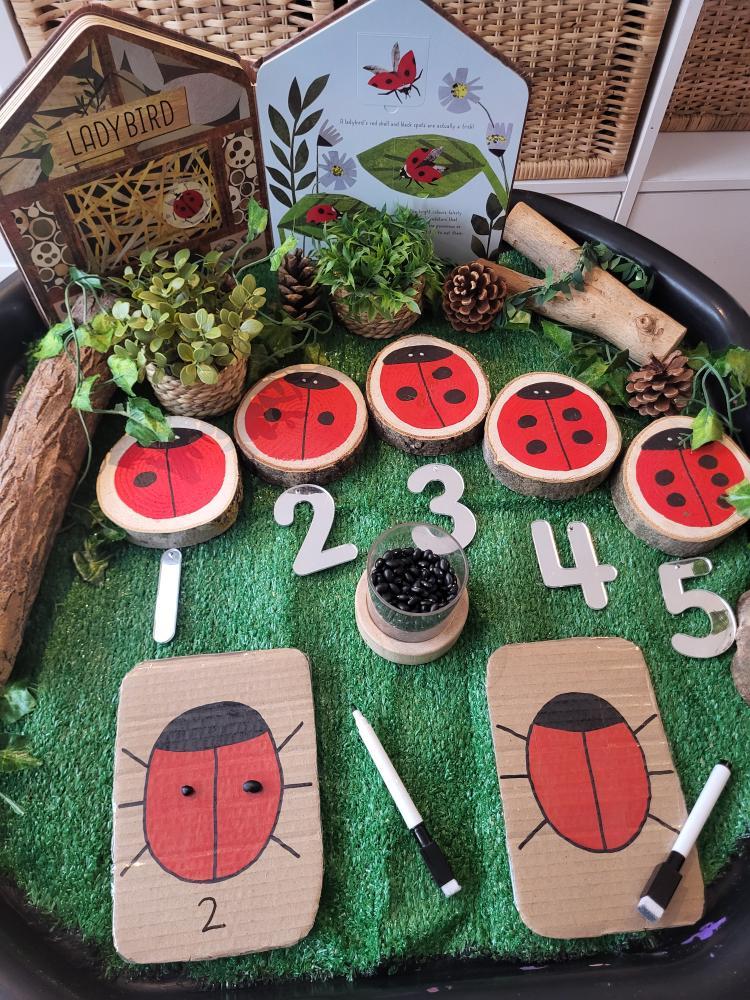 Ladybird Log Slices