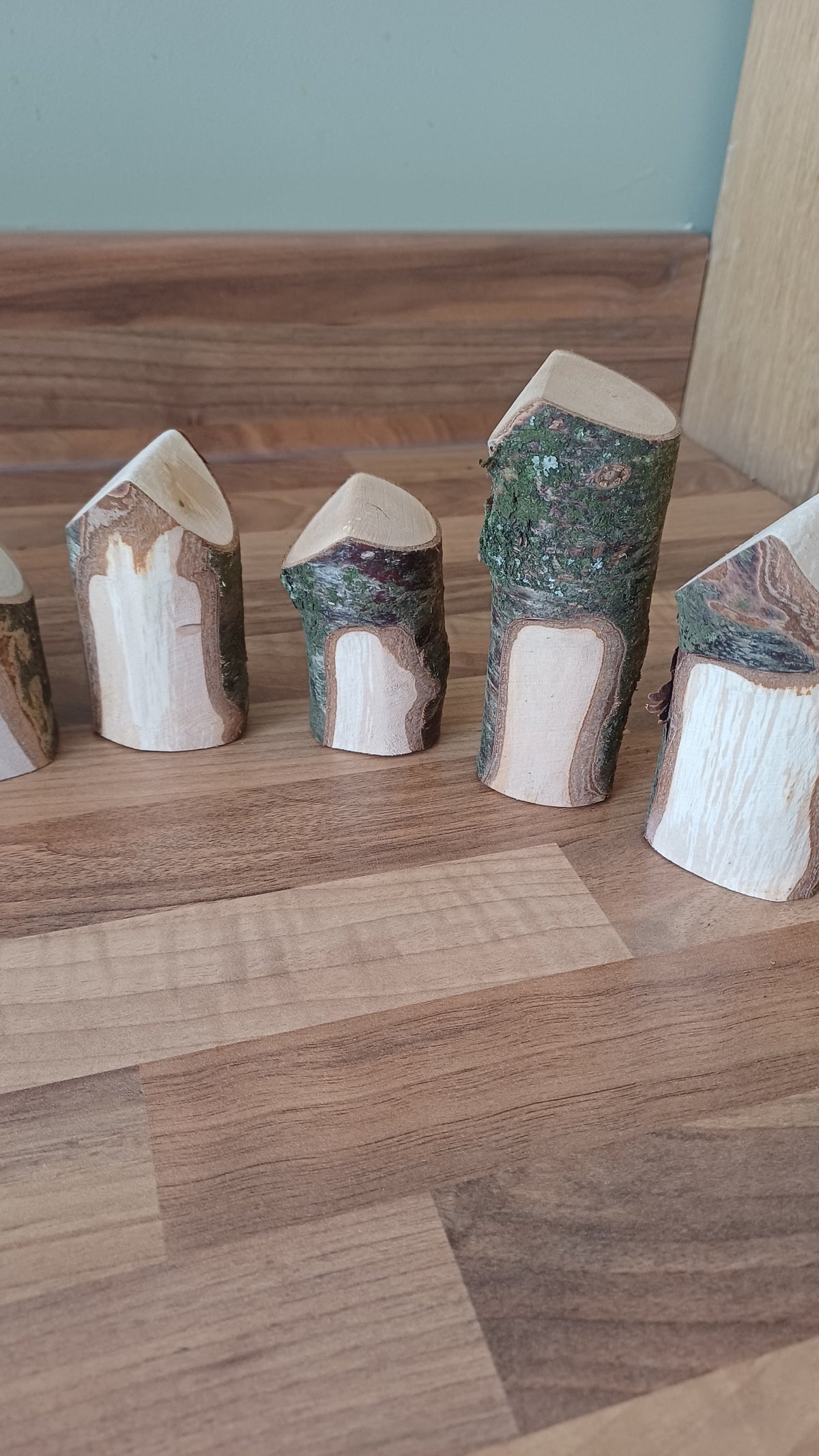 Natural Log House Shapes