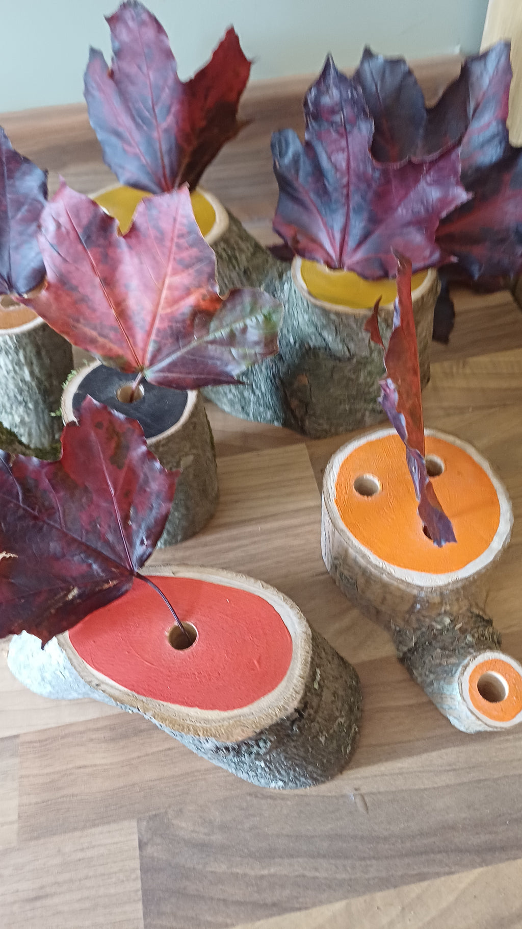 Autumn Colours Small World Trees